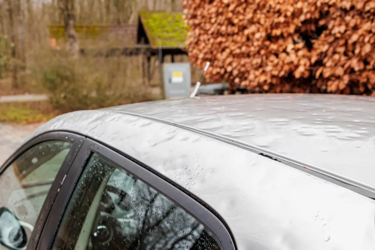 Hail damage claim denied in Texas: silver car roof covered in hail dents Silver car roof covered in hail dents, the kind of damage behind a hail damage claim denied in Texas