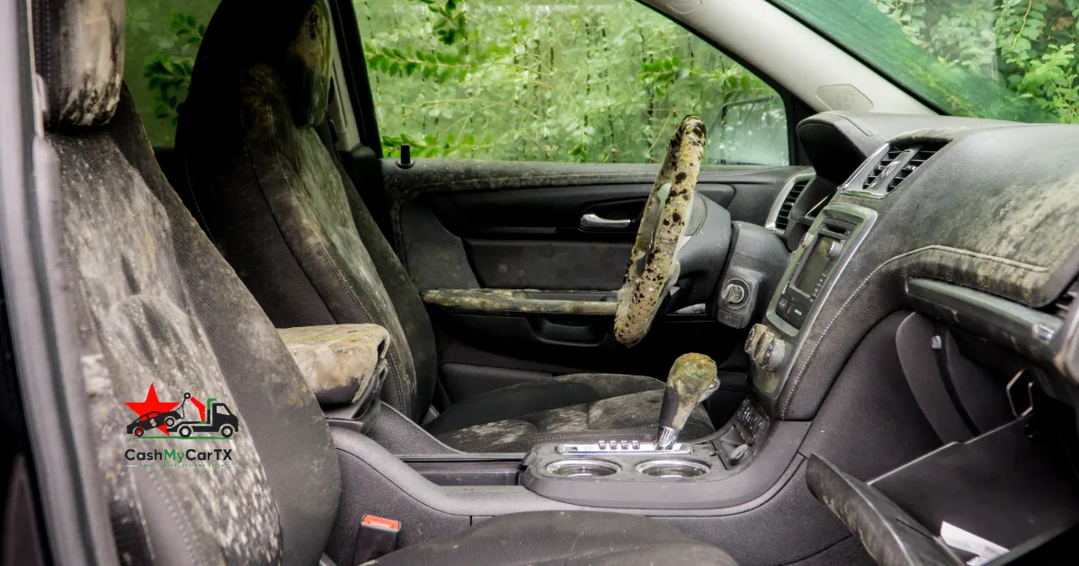 A car interior covered in mold after flood damage — what happens to storm-totaled cars in Texas
